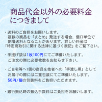 国産高級羽毛布団2枚組(ハンガリー産シルバーマザーグースダウン使用)<ブルー>